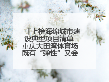 上榜海绵城市建设典型项目清单 重庆大田湾体育场既有“弹性”又会“呼吸”