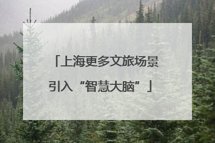 上海更多文旅场景引入“智慧大脑”