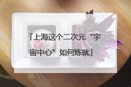上海这个二次元“宇宙中心”如何炼就