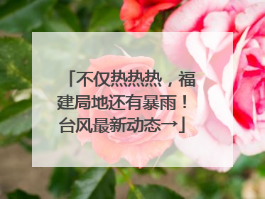 不仅热热热，福建局地还有暴雨！台风最新动态→