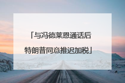 与冯德莱恩通话后 特朗普同意推迟加税