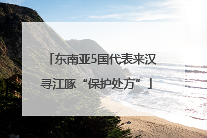 东南亚5国代表来汉寻江豚“保护处方”