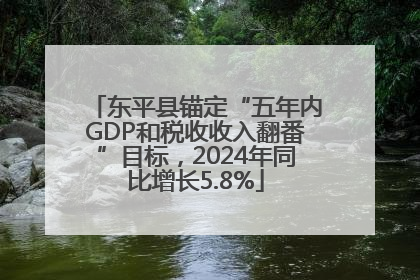 东平县锚定“五年内GDP和税收收入翻番”目标，2024年同比增长5.8%