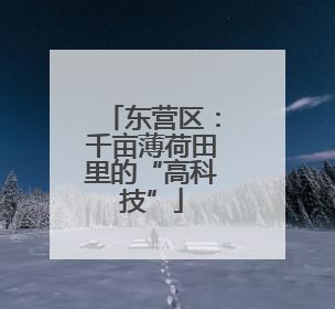 东营区：千亩薄荷田里的“高科技”