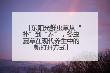 东阳光鲜虫草从“补”到“养”，冬虫夏草在现代养生中的新打开方式