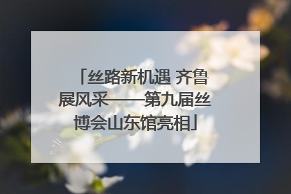 丝路新机遇 齐鲁展风采——第九届丝博会山东馆亮相