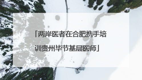 两岸医者在合肥携手培训贵州毕节基层医师