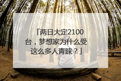 两日大定2100台，梦想家为什么受这么多人青睐？