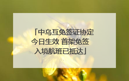 中乌互免签证协定今日生效 首架免签入境航班已抵达