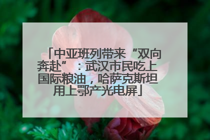 中亚班列带来“双向奔赴”：武汉市民吃上国际粮油，哈萨克斯坦用上鄂产光电屏