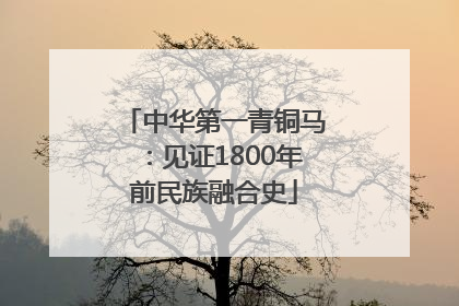 中华第一青铜马：见证1800年前民族融合史