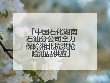 中国石化湖南石油分公司全力保障湘北抗洪抢险油品供应