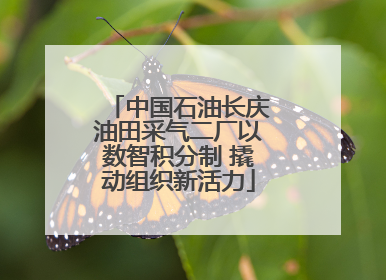 中国石油长庆油田采气二厂以数智积分制 撬动组织新活力