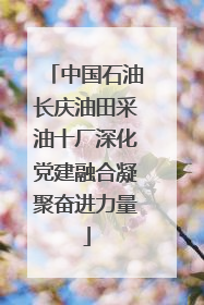 中国石油长庆油田采油十厂深化党建融合凝聚奋进力量