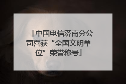 中国电信济南分公司喜获“全国文明单位”荣誉称号