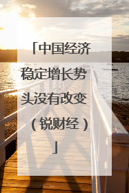 中国经济稳定增长势头没有改变（锐财经）