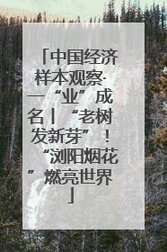 中国经济样本观察·一“业”成名丨“老树发新芽”！“浏阳烟花”燃亮世界