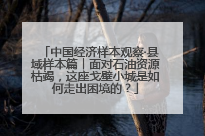 中国经济样本观察·县域样本篇丨面对石油资源枯竭，这座戈壁小城是如何走出困境的？