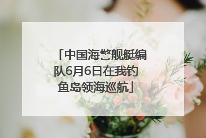 中国海警舰艇编队6月6日在我钓鱼岛领海巡航