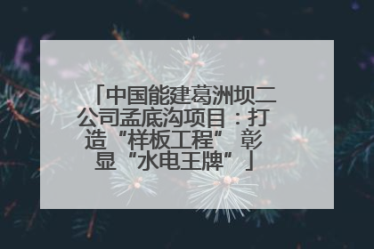 中国能建葛洲坝二公司孟底沟项目：打造“样板工程” 彰显“水电王牌”