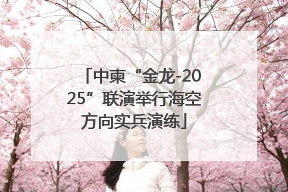 中柬“金龙-2025”联演举行海空方向实兵演练