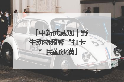 中新武威观｜野生动物频繁“打卡”民勤沙漠