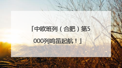 中欧班列（合肥）第5000列鸣笛起航！