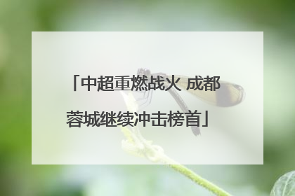 中超重燃战火 成都蓉城继续冲击榜首