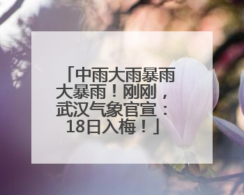 中雨大雨暴雨大暴雨！刚刚，武汉气象官宣：18日入梅！