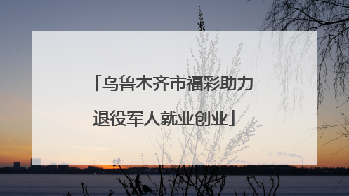 乌鲁木齐市福彩助力退役军人就业创业