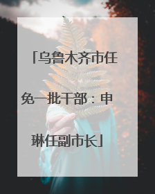 乌鲁木齐市任免一批干部：申琳任副市长