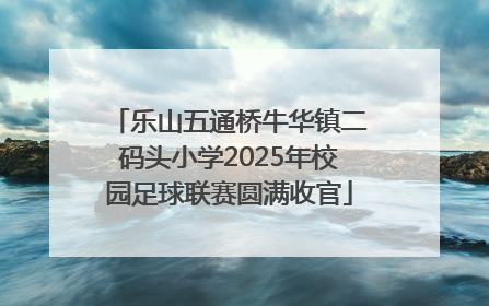 乐山五通桥牛华镇二码头小学2025年校园足球联赛圆满收官