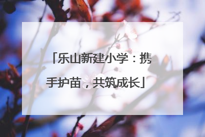 乐山新建小学：携手护苗，共筑成长
