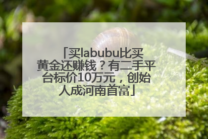 买labubu比买黄金还赚钱？有二手平台标价10万元，创始人成河南首富