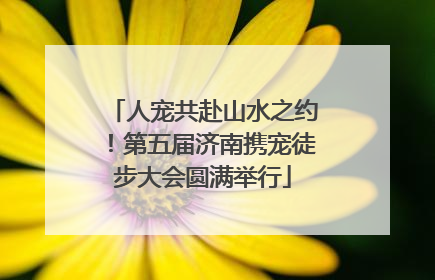 人宠共赴山水之约！第五届济南携宠徒步大会圆满举行