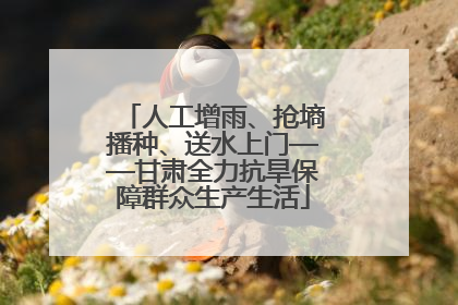 人工增雨、抢墒播种、送水上门——甘肃全力抗旱保障群众生产生活