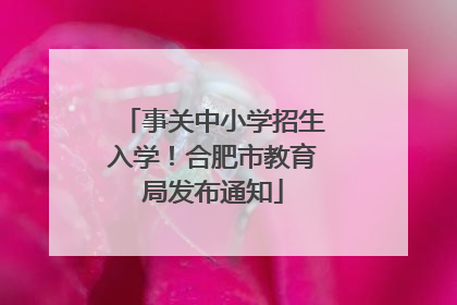 事关中小学招生入学！合肥市教育局发布通知