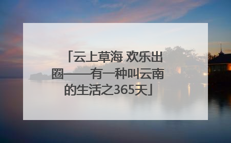 云上草海 欢乐出圈——有一种叫云南的生活之365天