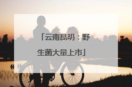 云南昆明：野生菌大量上市
