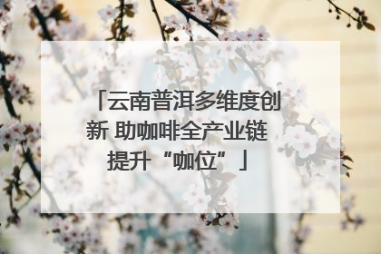 云南普洱多维度创新 助咖啡全产业链提升“咖位”