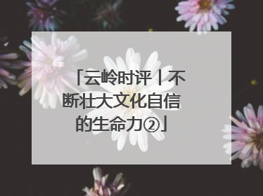 云岭时评丨不断壮大文化自信的生命力②