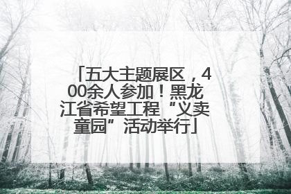 五大主题展区，400余人参加！黑龙江省希望工程“义卖童园”活动举行