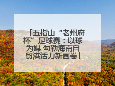 五指山“老州府杯”足球赛：以球为媒 勾勒海南自贸港活力新画卷