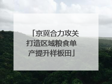 京冀合力攻关打造区域粮食单产提升样板田
