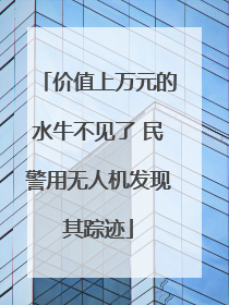 价值上万元的水牛不见了 民警用无人机发现其踪迹