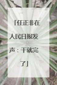 任正非在人民日报发声：干就完了