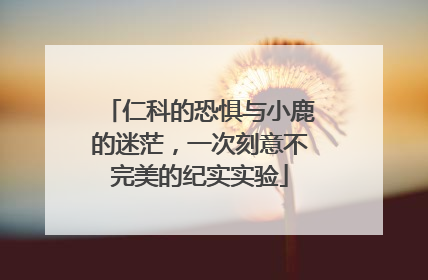 仁科的恐惧与小鹿的迷茫，一次刻意不完美的纪实实验