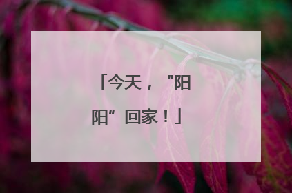今天，“阳阳”回家！