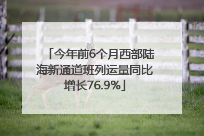 今年前6个月西部陆海新通道班列运量同比增长76.9%