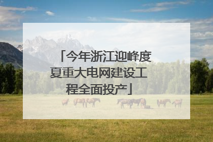 今年浙江迎峰度夏重大电网建设工程全面投产